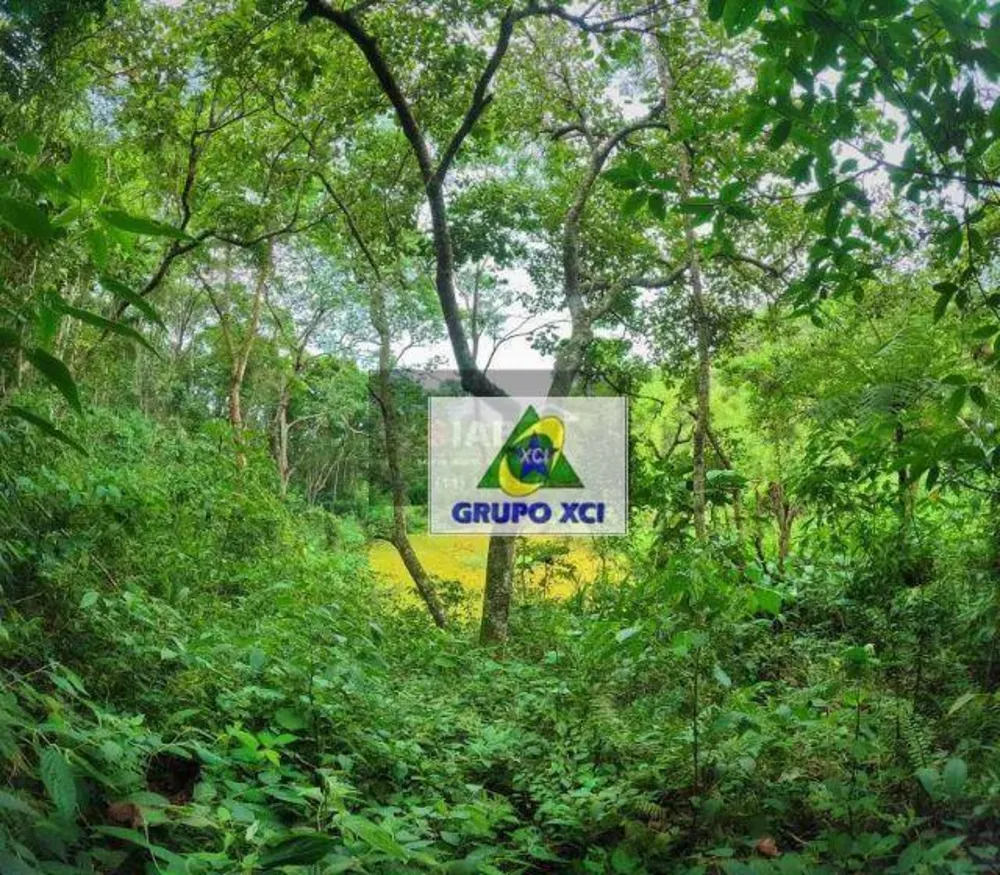 Sítio, 8 quartos, 3 hectares - Foto 11