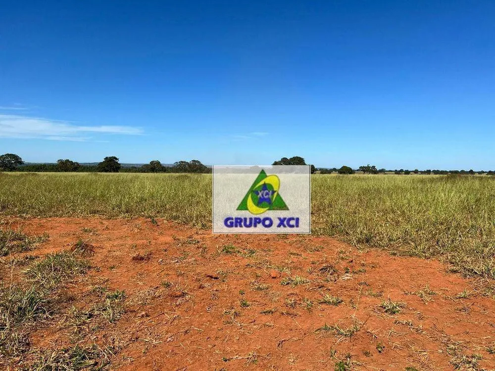 Fazenda, 4644 hectares - Foto 6