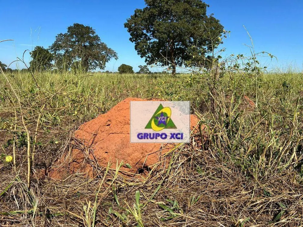 Fazenda, 4644 hectares - Foto 3