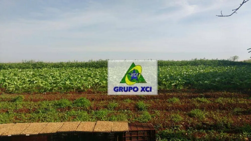 Terreno, 13 hectares - Foto 8
