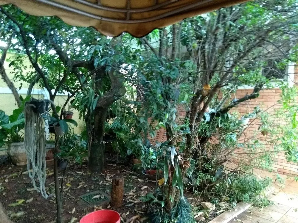 Casa, 4 quartos, 466 m² - Foto 11