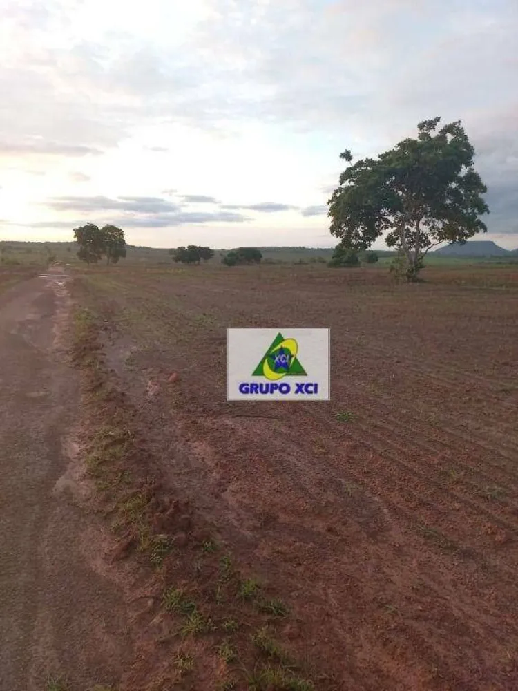 Fazenda, 997 hectares - Foto 10