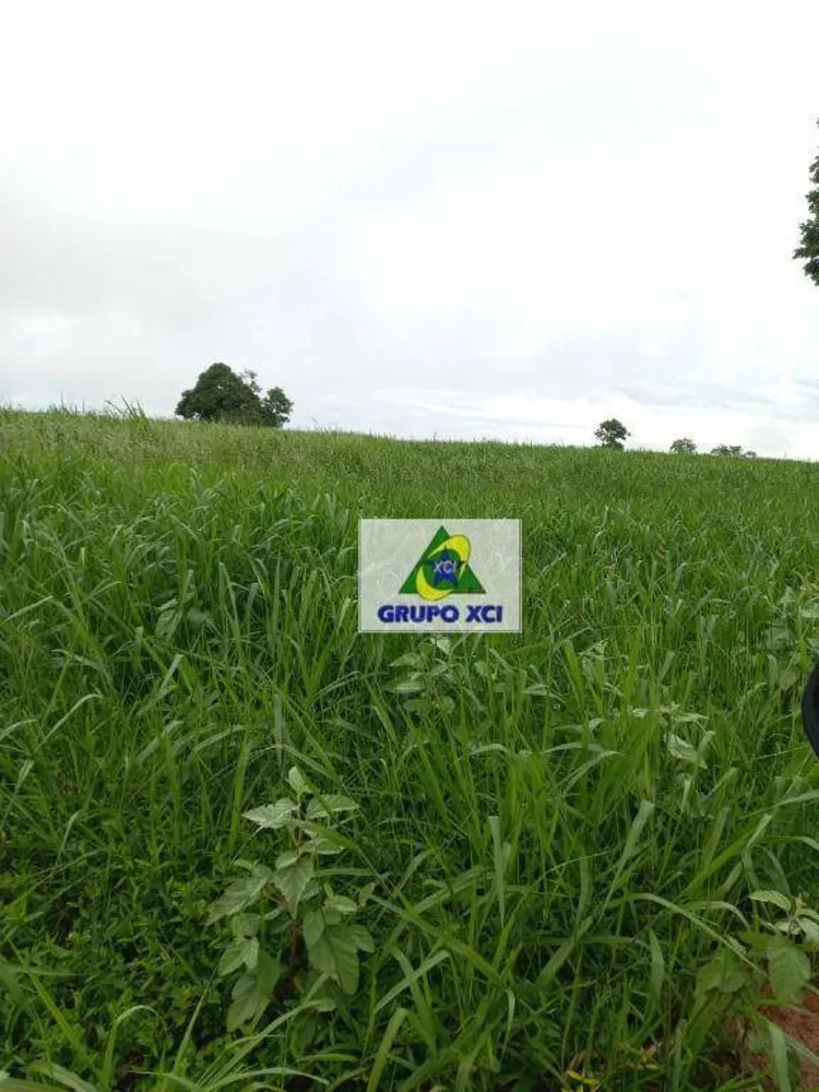 Fazenda, 997 hectares - Foto 3