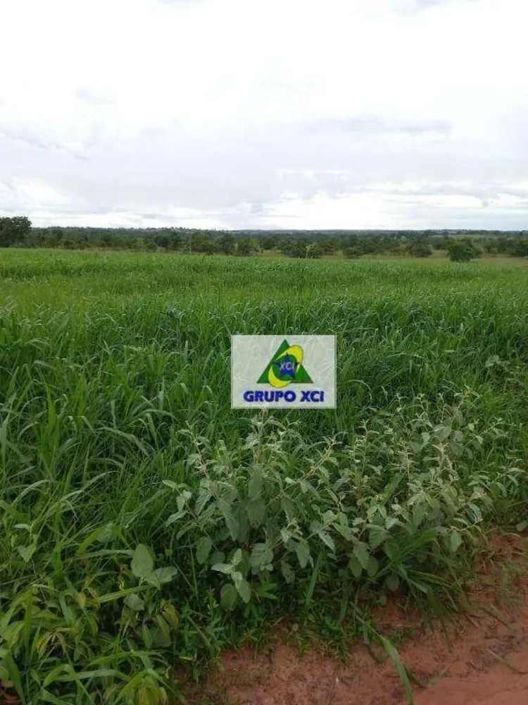 Fazenda, 997 hectares - Foto 4