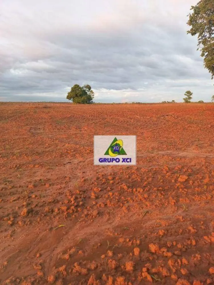 Fazenda, 997 hectares - Foto 11