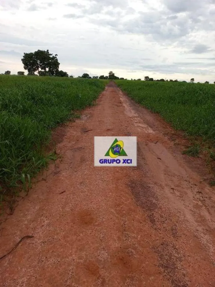 Fazenda, 997 hectares - Foto 5