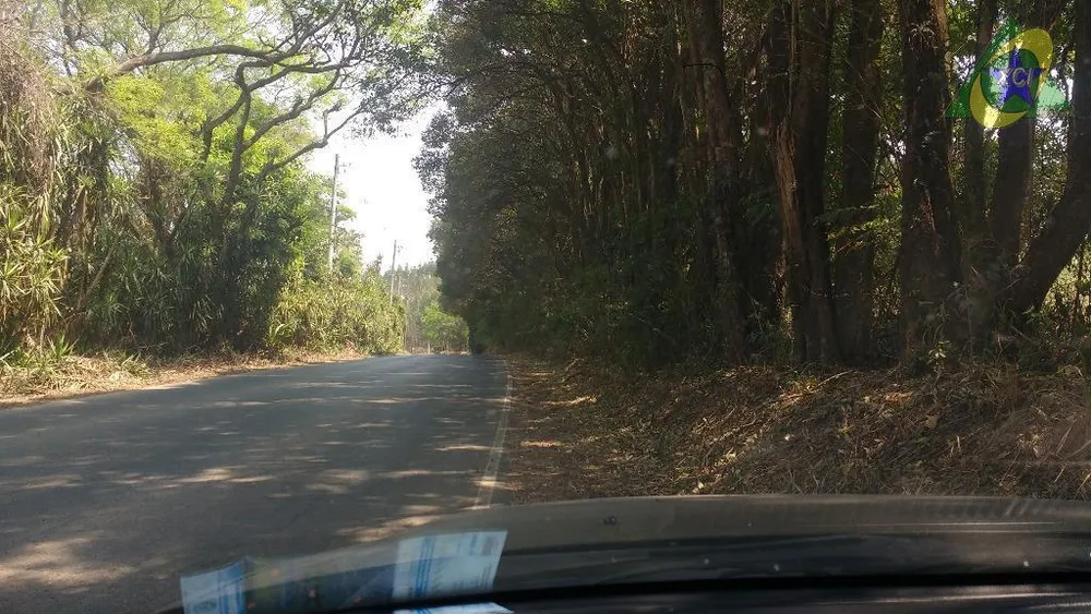 Terreno, 3 hectares - Foto 4