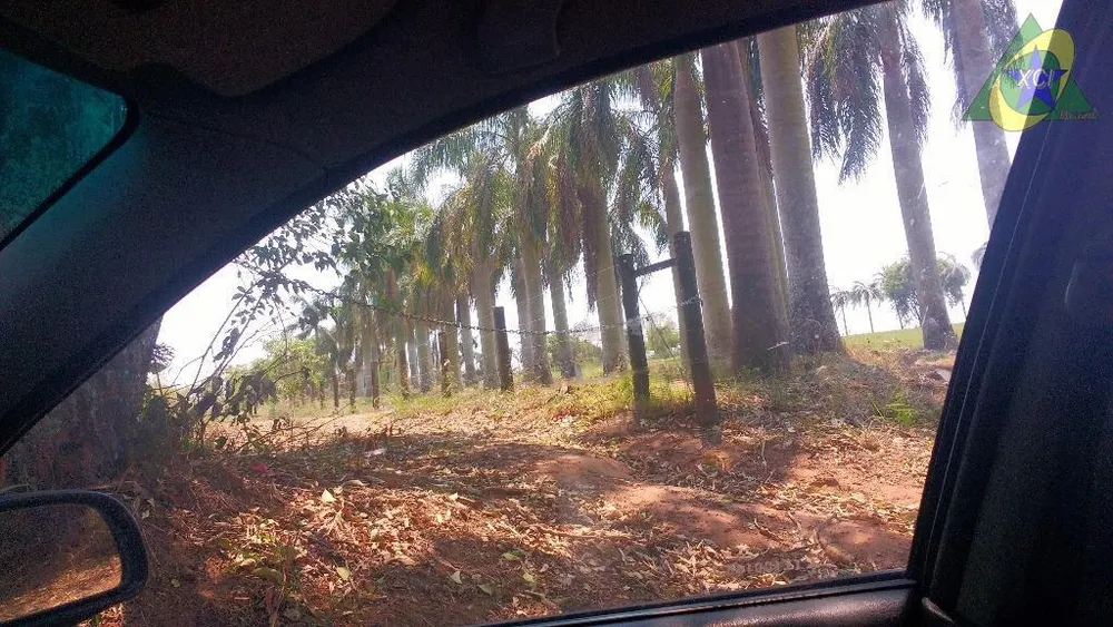 Terreno, 3 hectares - Foto 3