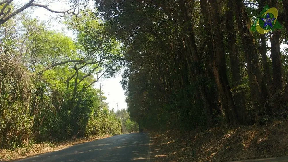 Terreno, 3 hectares - Foto 6
