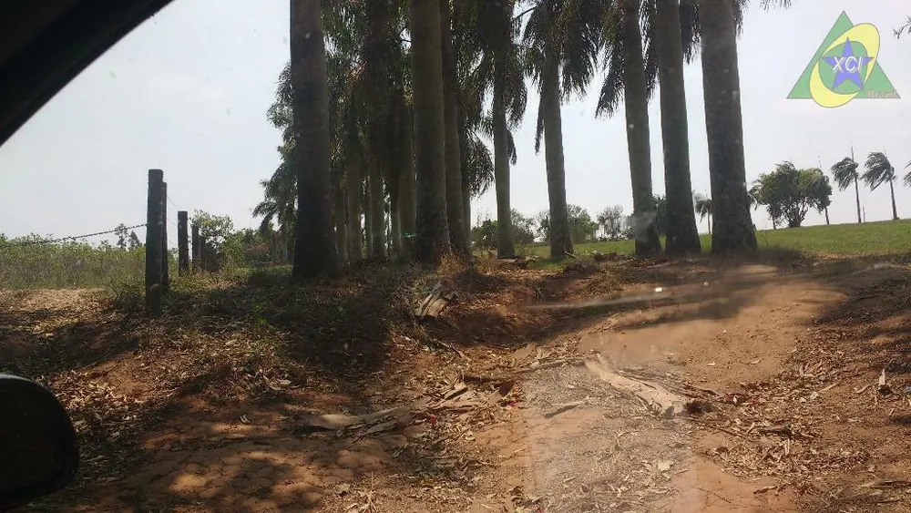 Terreno, 3 hectares - Foto 7