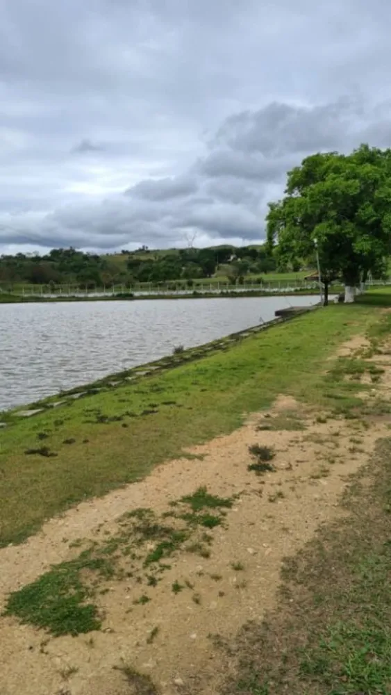 Chácara, 4 quartos, 4 hectares - Foto 12