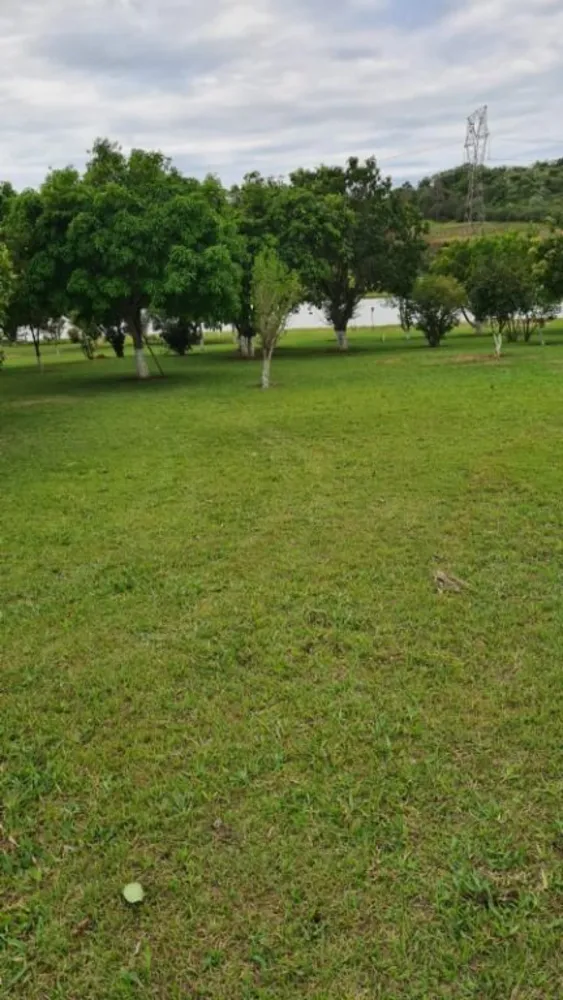 Chácara, 4 quartos, 4 hectares - Foto 1