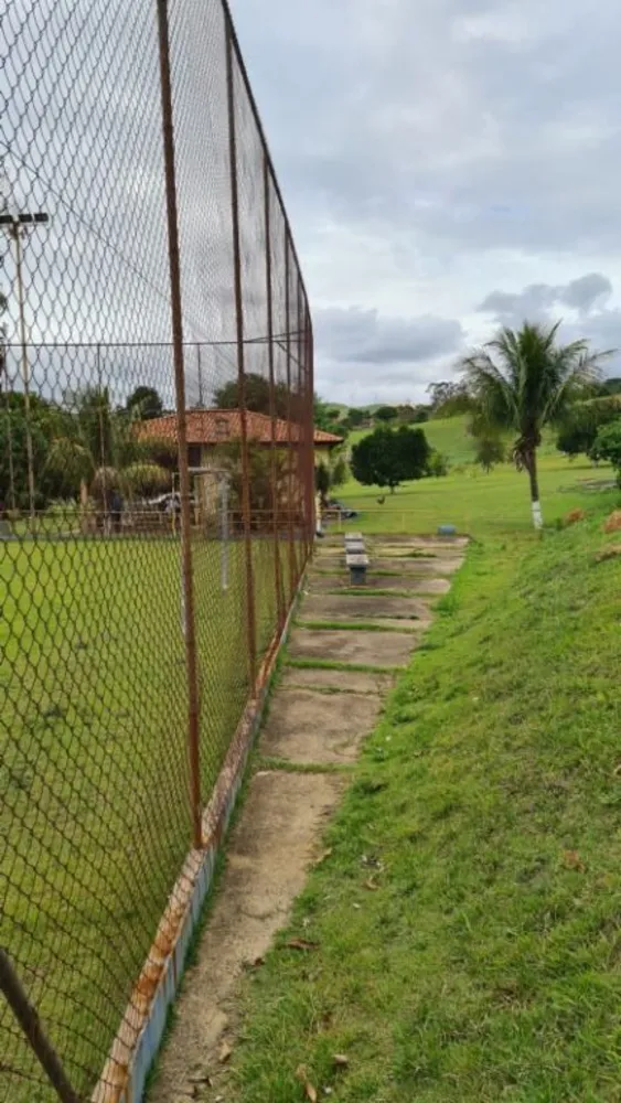 Chácara, 4 quartos, 4 hectares - Foto 10