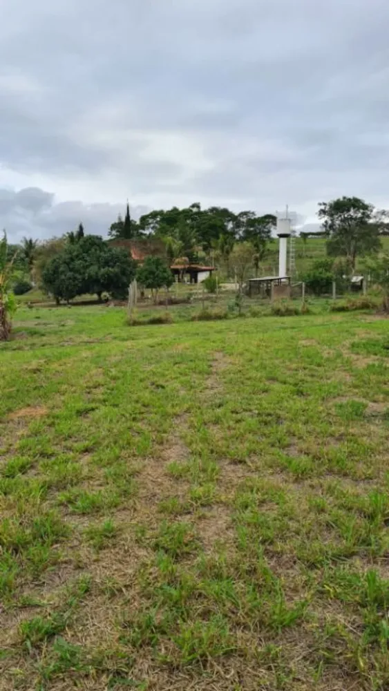 Chácara, 4 quartos, 4 hectares - Foto 9