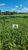Fazenda, 177 hectares - Foto 2