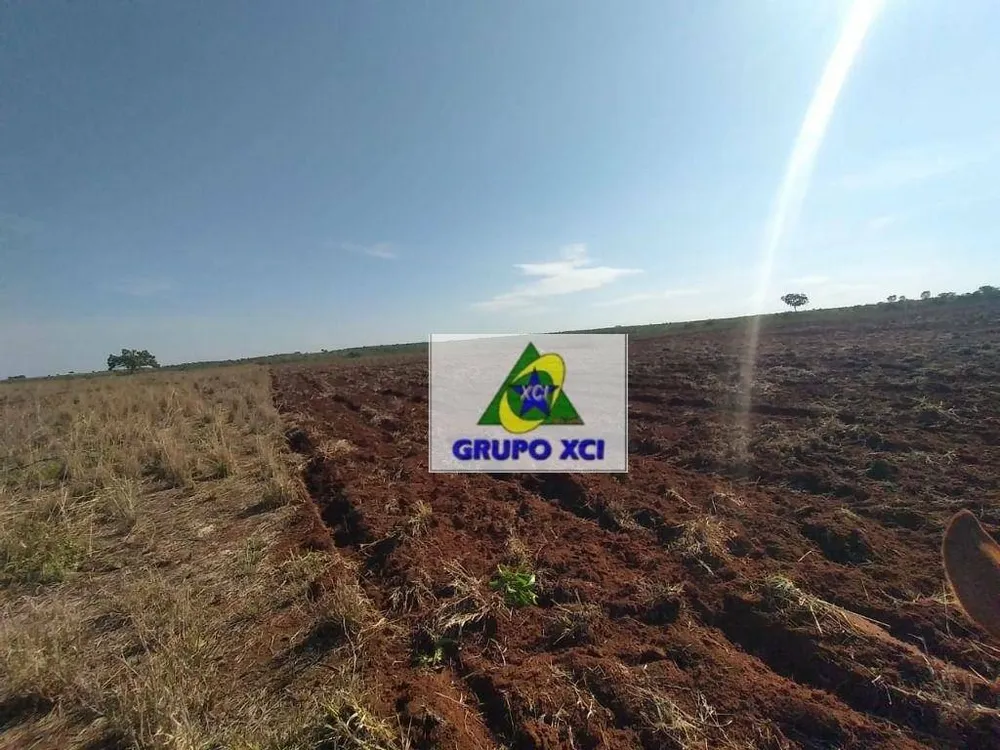 Fazenda, 785 hectares - Foto 3