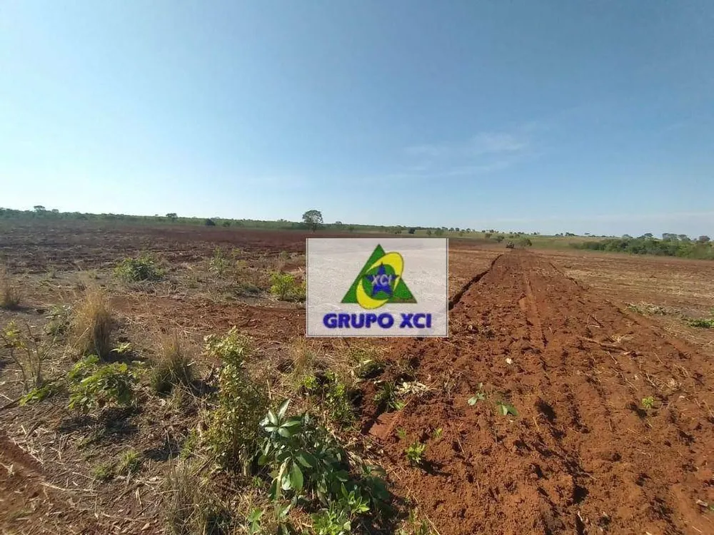 Fazenda, 785 hectares - Foto 2
