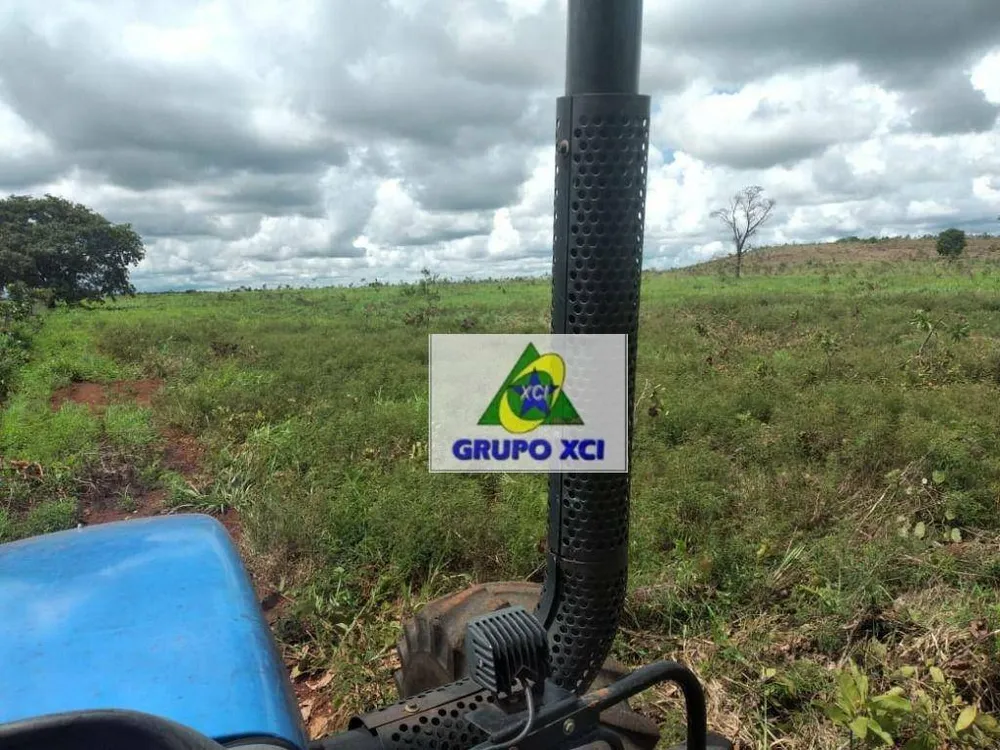 Fazenda, 785 hectares - Foto 9