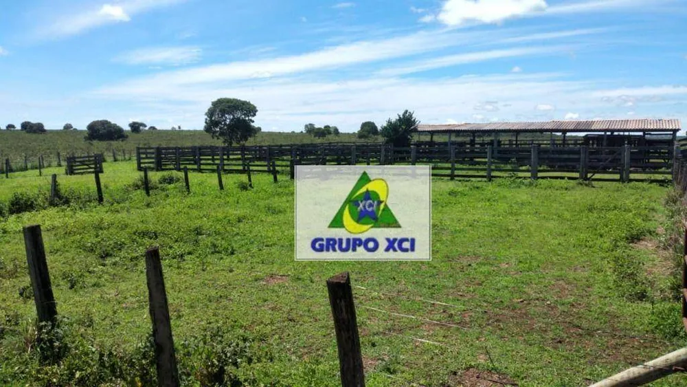 Fazenda, 785 hectares - Foto 6