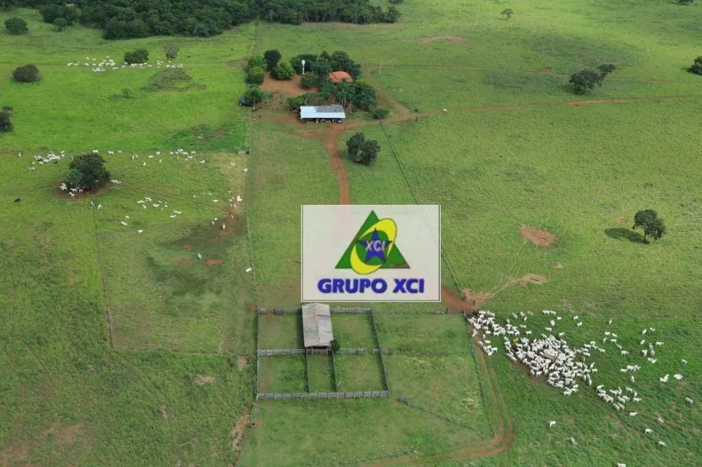 Fazenda, 785 hectares - Foto 1