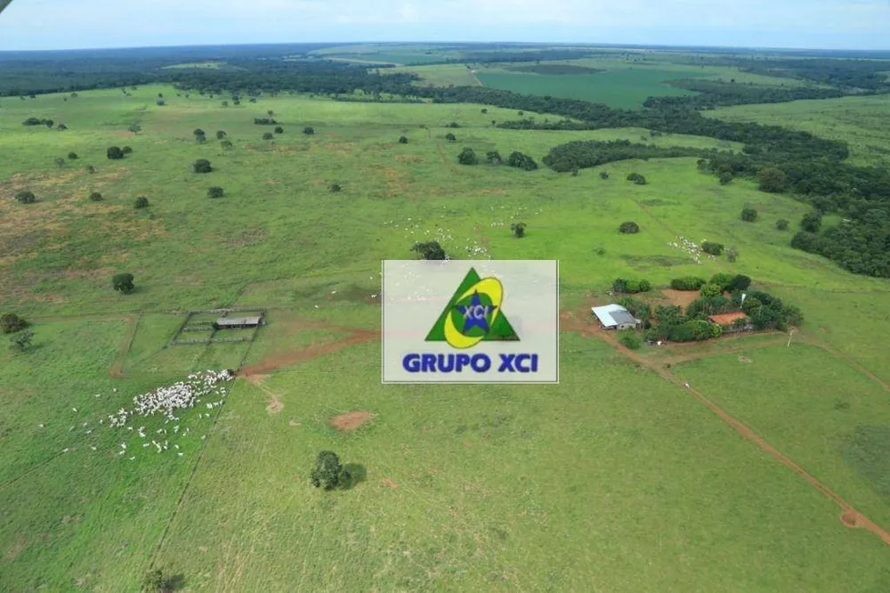 Fazenda, 785 hectares - Foto 11