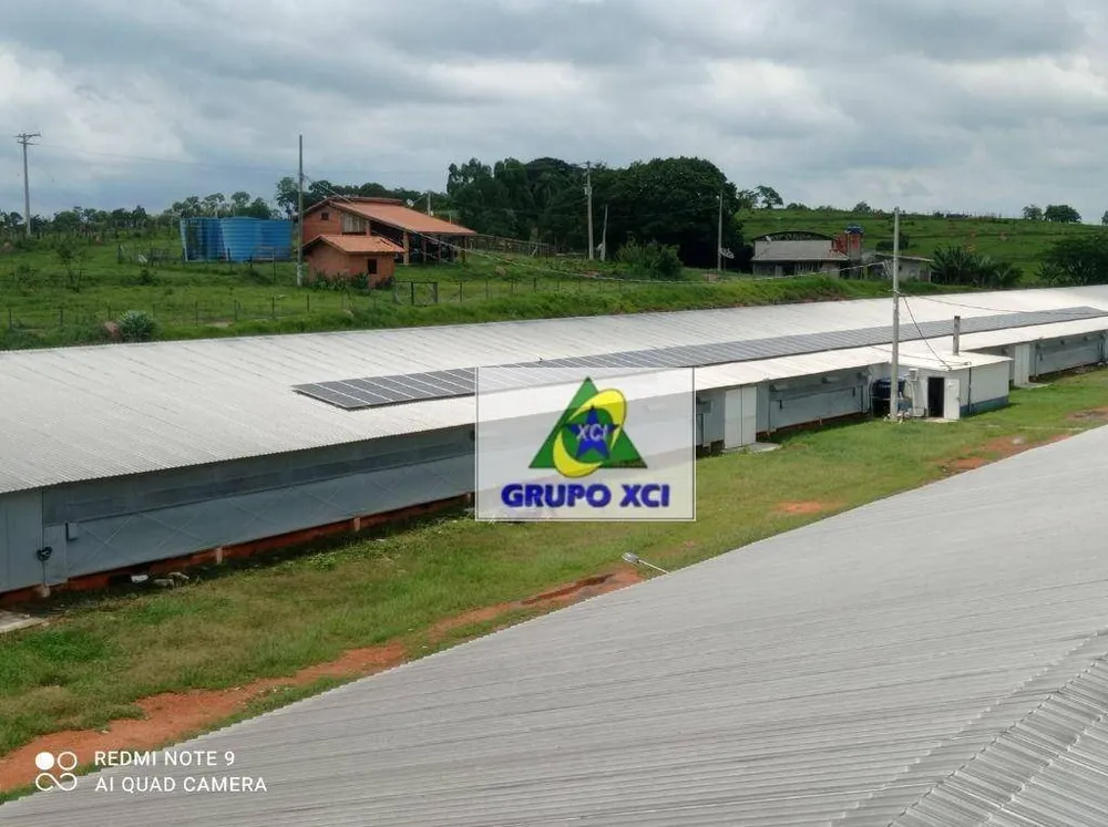 Sítio, 38 hectares - Foto 4