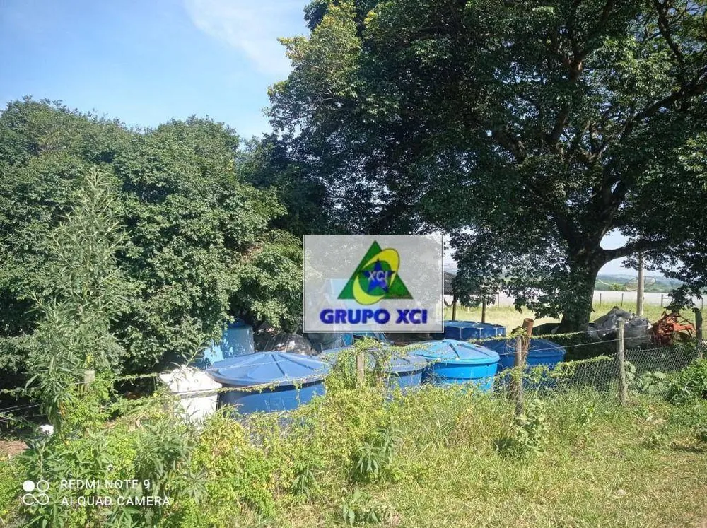 Sítio, 38 hectares - Foto 12