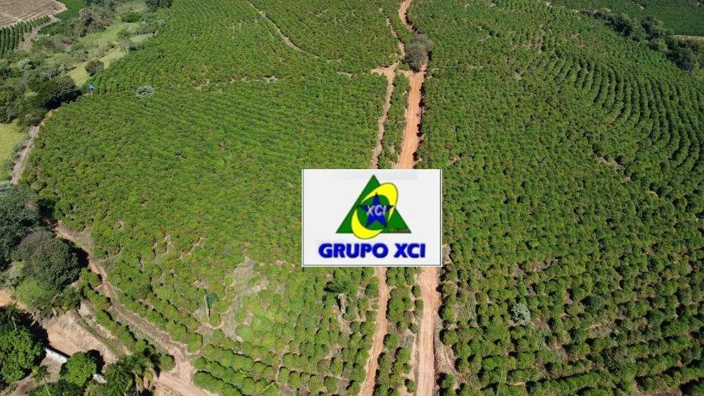 Fazenda, 273 hectares - Foto 3