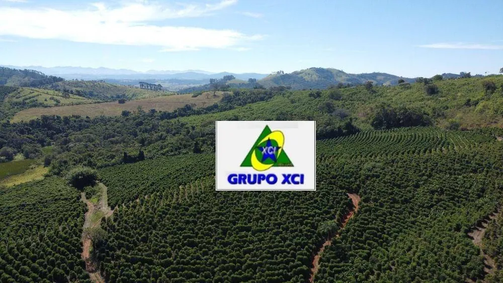 Fazenda, 273 hectares - Foto 10
