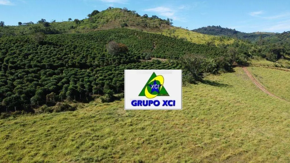 Fazenda, 273 hectares - Foto 12