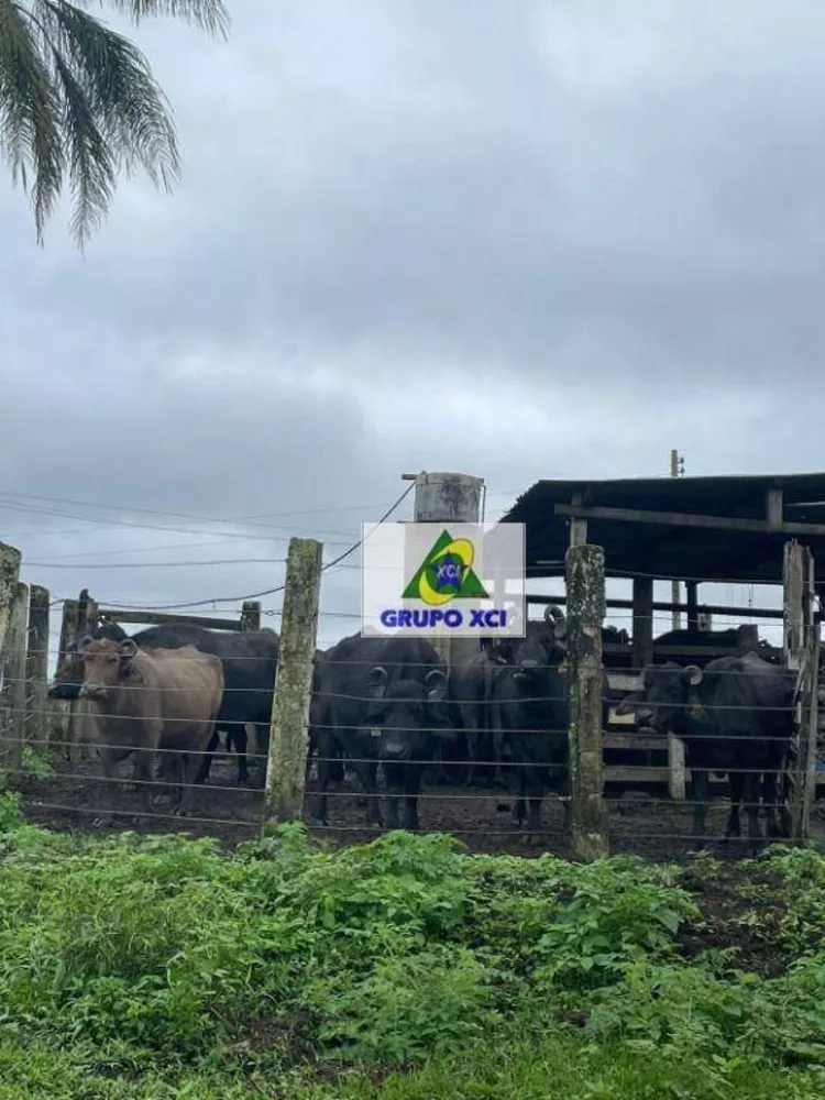 Fazenda à venda, 1210000M2 - Foto 4