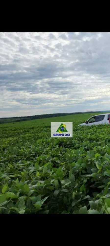 Fazenda à venda, 16780000M2 - Foto 4