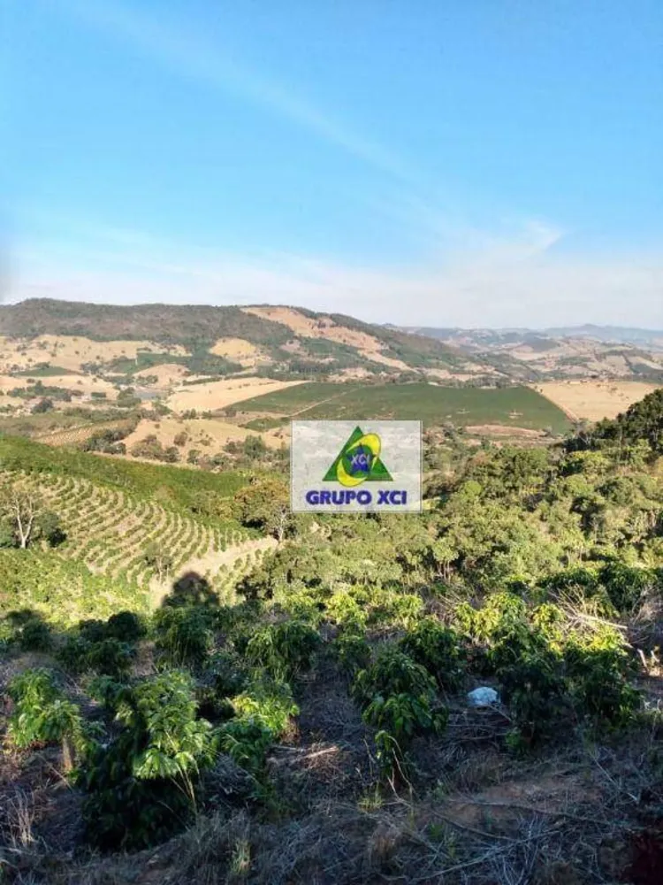 Sítio, 22 hectares - Foto 1