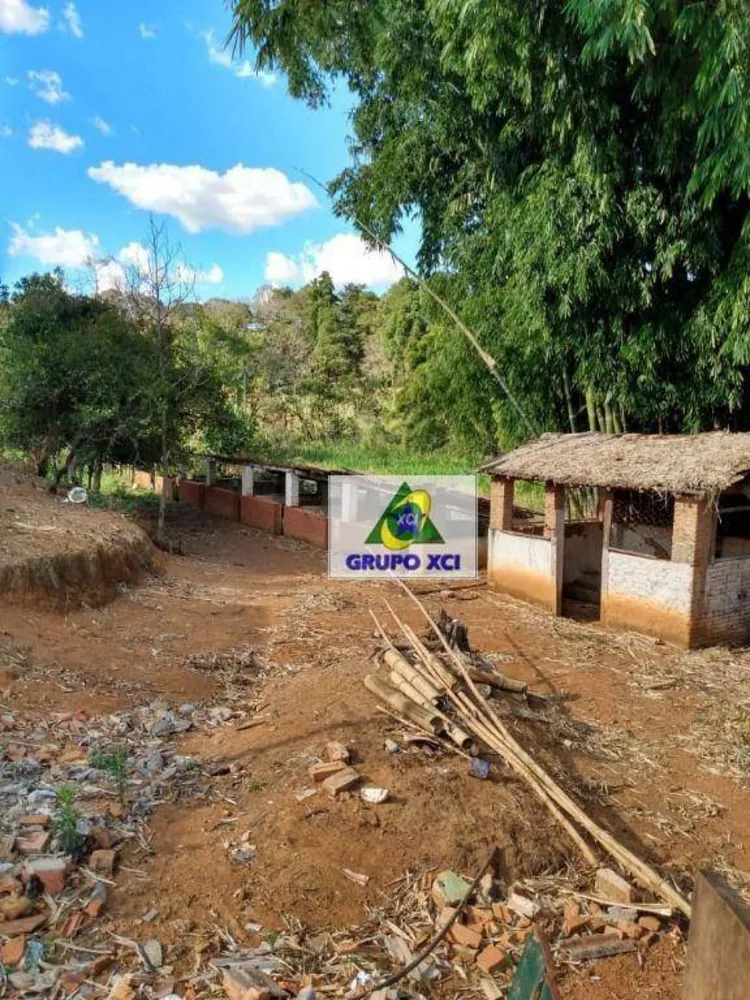 Sítio, 22 hectares - Foto 6