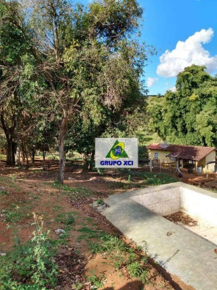 Sítio, 22 hectares - Foto 10