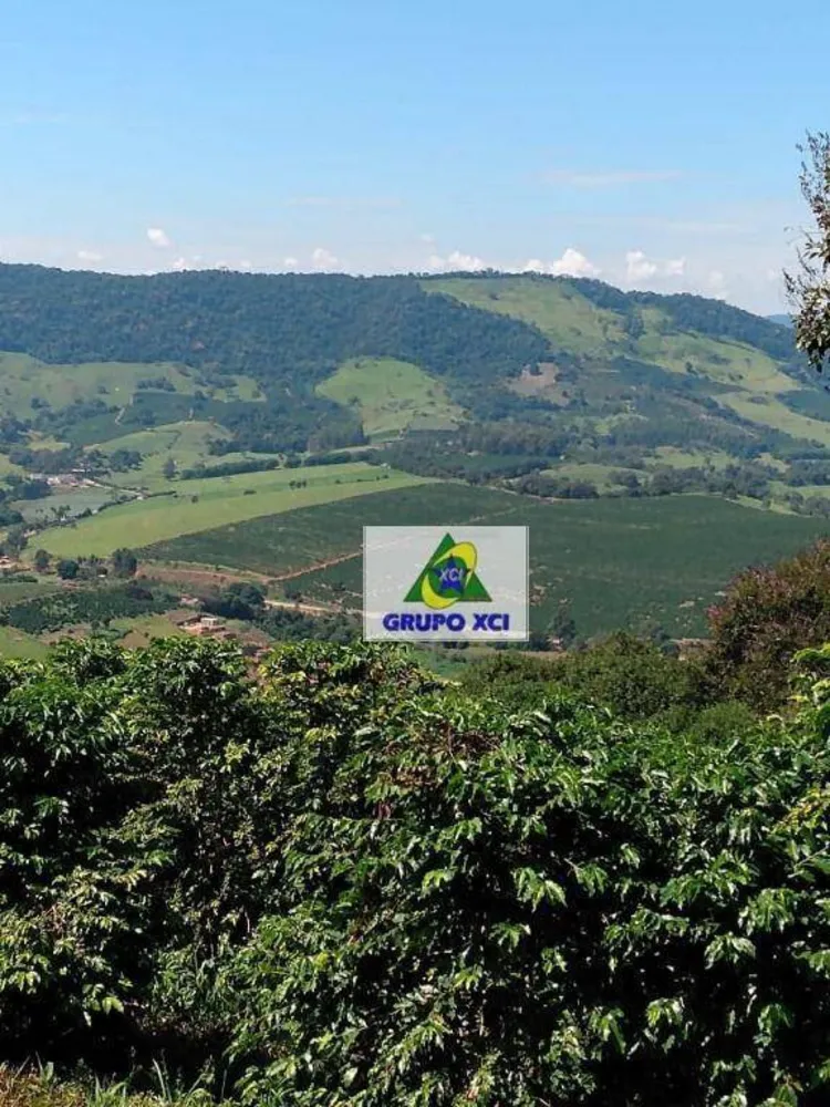 Sítio, 22 hectares - Foto 11