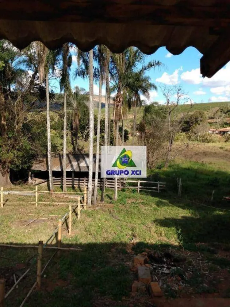 Sítio, 22 hectares - Foto 9