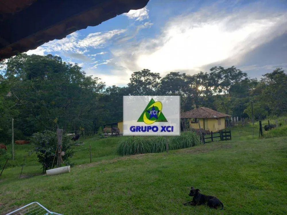 Fazenda, 145 hectares - Foto 8