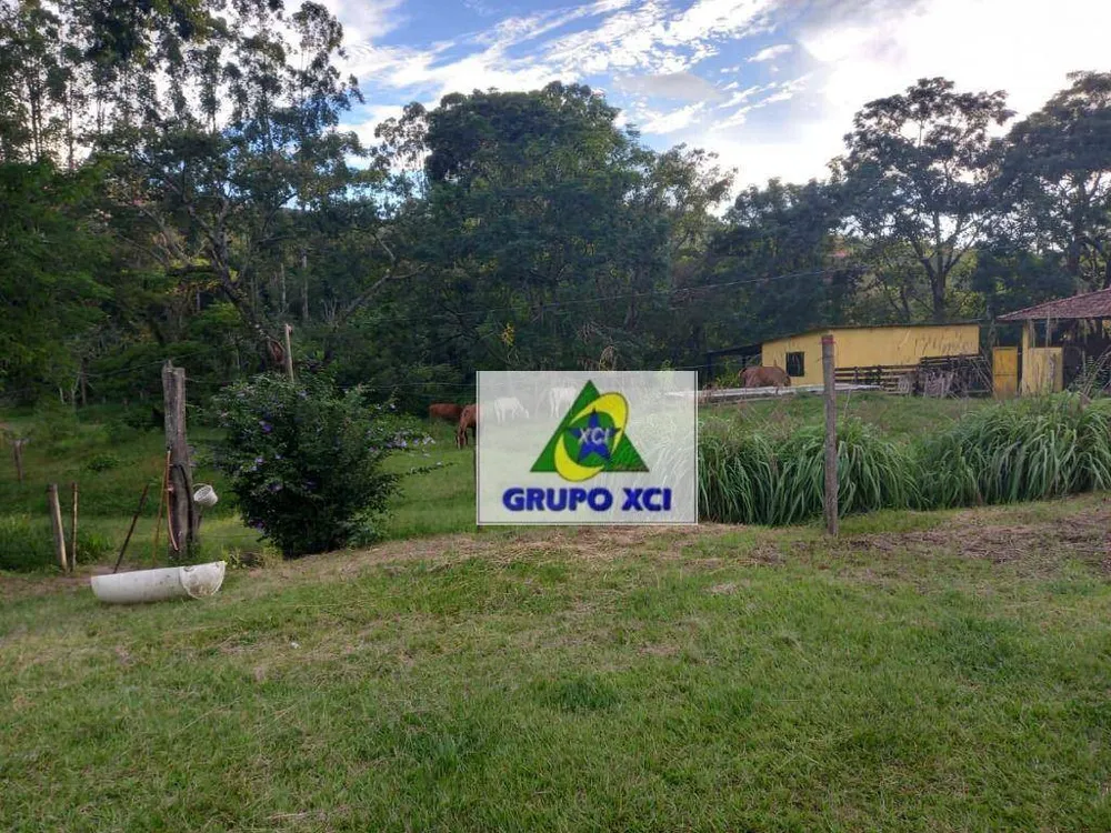 Fazenda, 145 hectares - Foto 3