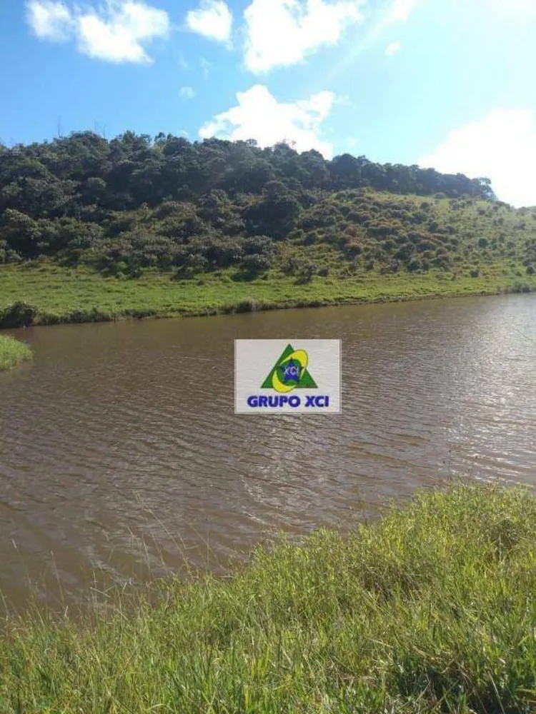 Fazenda, 145 hectares - Foto 7