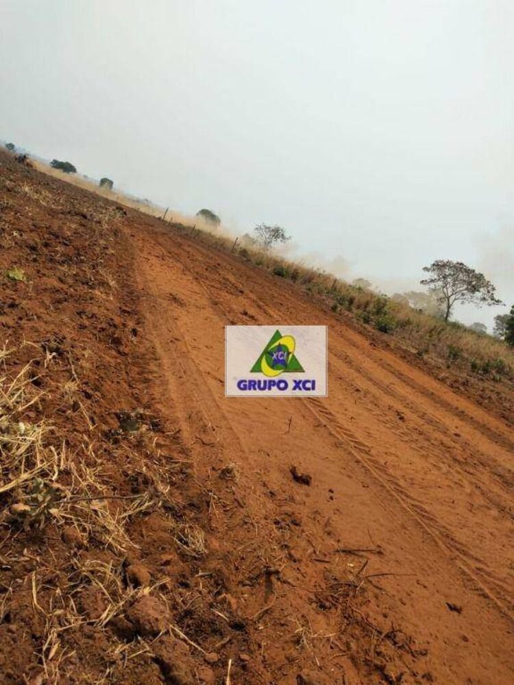 Fazenda à venda, 7850000M2 - Foto 3