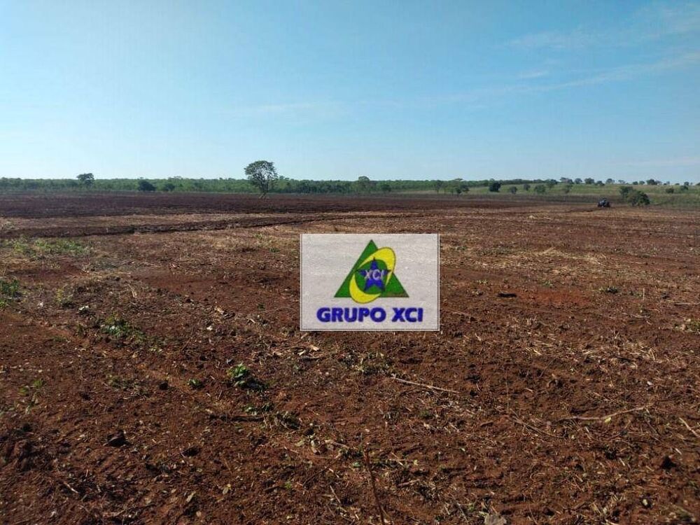 Fazenda à venda, 7850000M2 - Foto 8