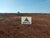 Fazenda-Sítio-Chácara, 785 hectares - Foto 8