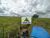 Fazenda-Sítio-Chácara, 785 hectares - Foto 11