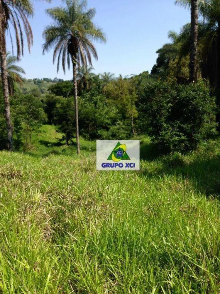 Sítio, 16 hectares - Foto 7