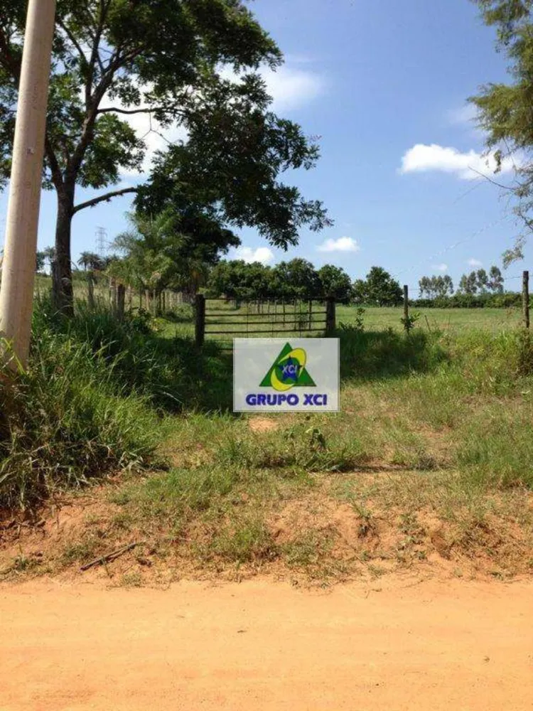 Sítio, 16 hectares - Foto 4