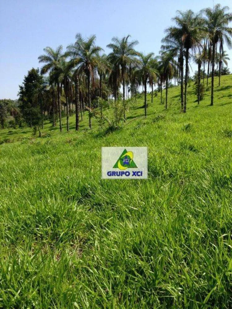 Sítio, 16 hectares - Foto 12