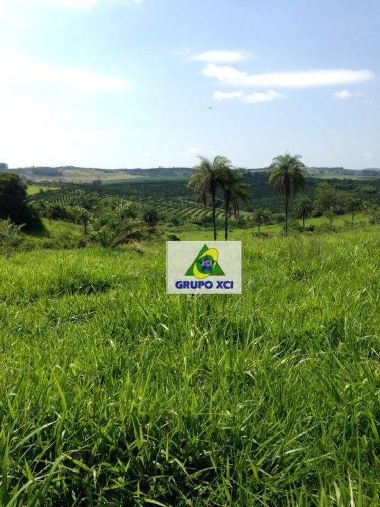 Sítio, 16 hectares - Foto 11