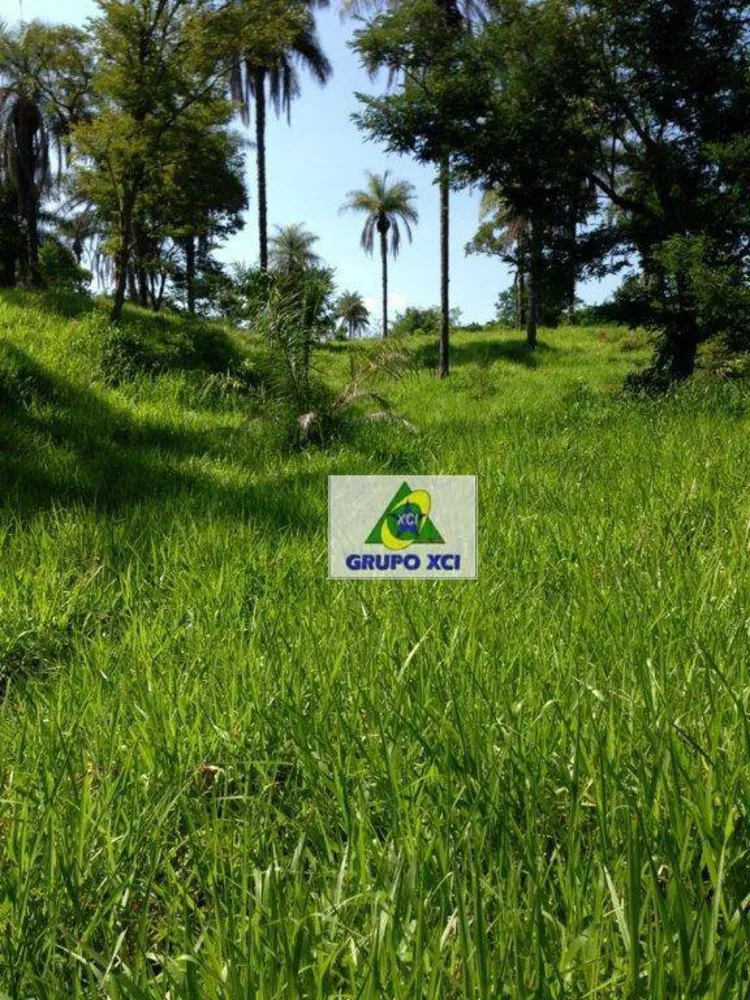 Sítio, 16 hectares - Foto 9