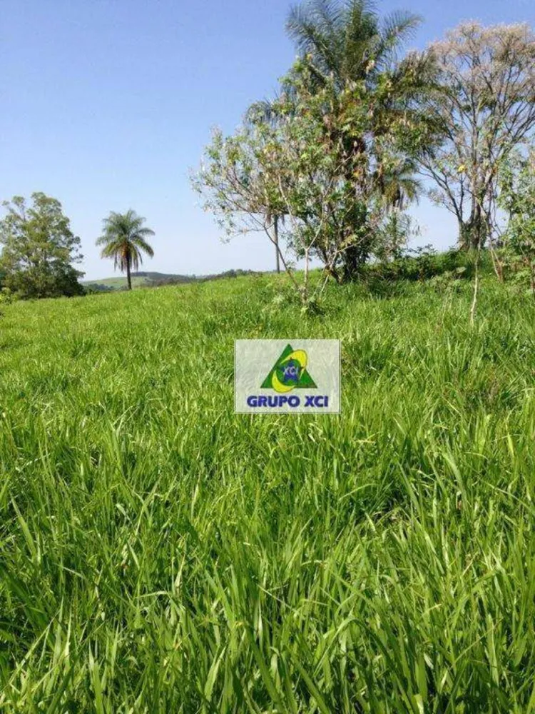 Sítio, 16 hectares - Foto 6